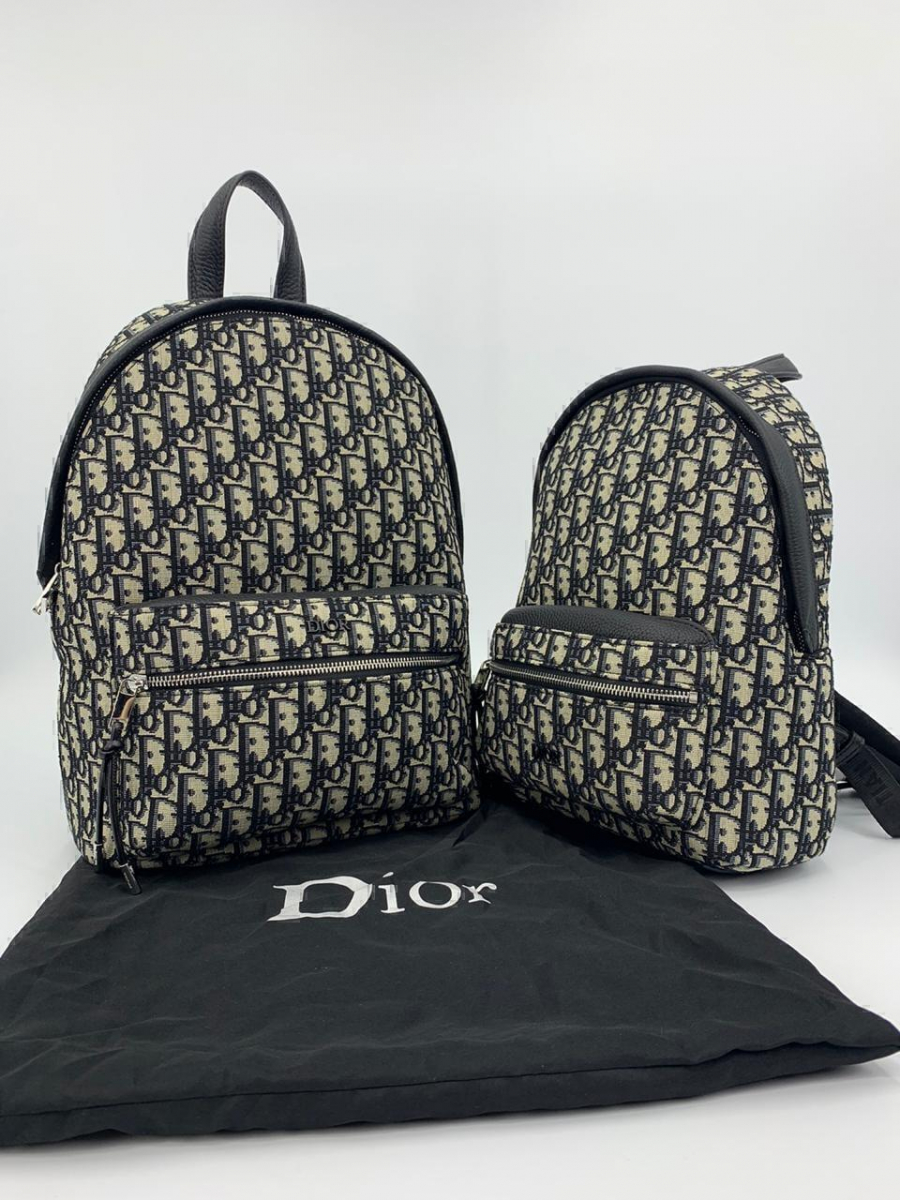 Dior рюкзак люкс женские  в «Globestyle» арт.9589YJ
