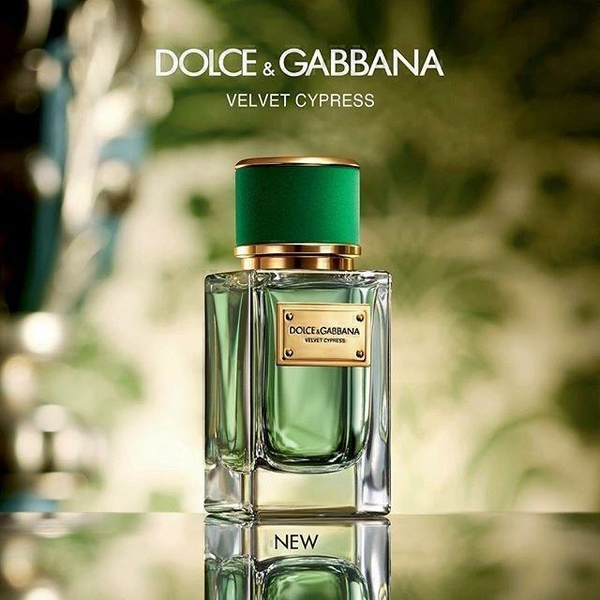 Dolce & Gabbana Velvet Cypress #1 в «Globestyle» арт.33660