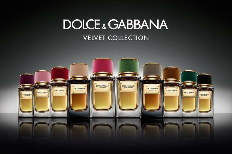 Dolce & Gabbana Velvet Bergamot #2 в «Globestyle» арт.33683
