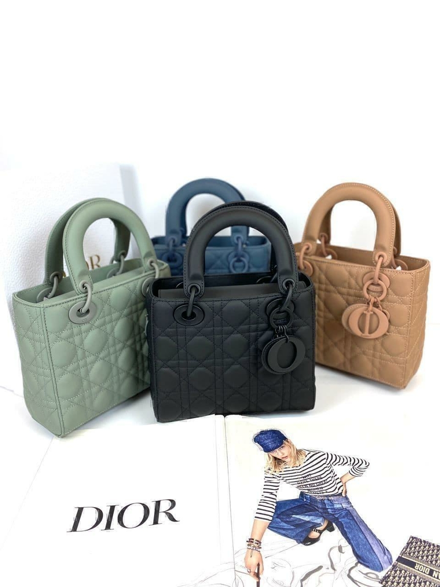 Dior сумка #5 в «Globestyle» арт.669888VU