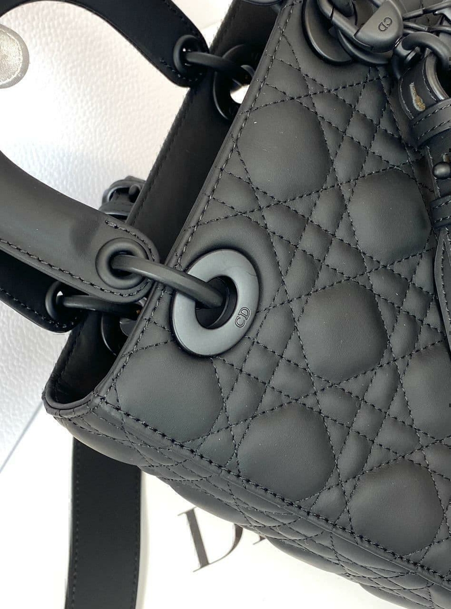 Dior сумка #4 в «Globestyle» арт.669888VU