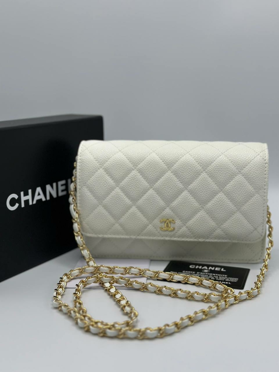 Chanel сумка 234814ZH в «Globestyle»