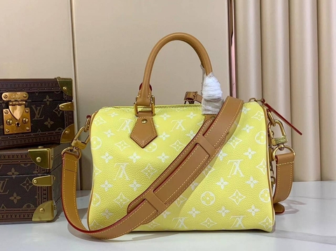 Louis Vuitton сумка 380404IK в GLOBESTYLE